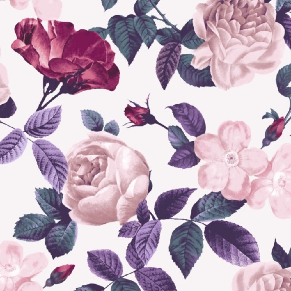 Meet your Posher, Lisa-ann